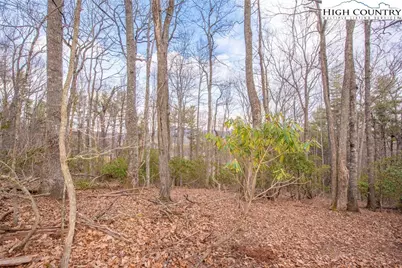 Tbd High Meadows Lane, Fleetwood, NC 28626 - Photo 10