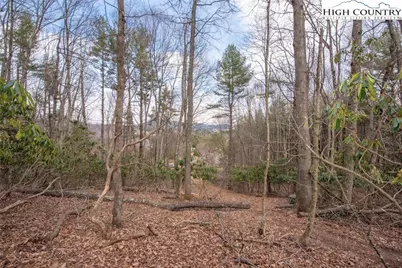 Tbd High Meadows Lane, Fleetwood, NC 28626 - Photo 4