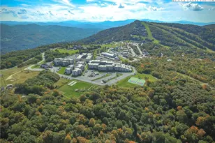 301 Pinnacle Inn Rd, Beech Mountain, NC 28604 - Photo 1