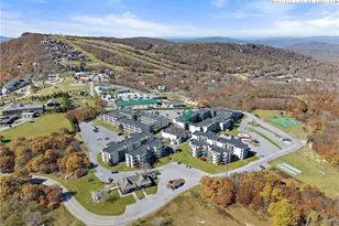 301 Pinnacle Inn Rd, Beech Mountain, NC 28604 - Photo 2