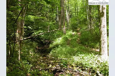 63.90 Acres Blackberry Road, Blowing Rock, NC 28605 - Photo 2