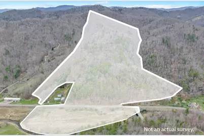 Tbd N Hwy 321, Sugar Grove, NC 28679 - Photo 4