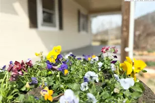 2742 Hwy 268 Hwy, Lenoir, NC 28645 - Photo 2