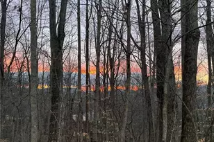 140 Vixen Den Dr, Zionville, NC 28698 - Photo 42