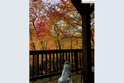 140 Vixen Den Drive, Zionville, NC 28698 - Photo 36