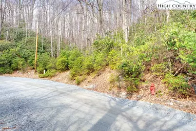 148 Rhododendron Drive, Beech Mountain, NC 28604 - Photo 4