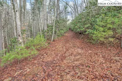 Tbd Jordan V. Cook Road, Boone, NC 28607 - Photo 22