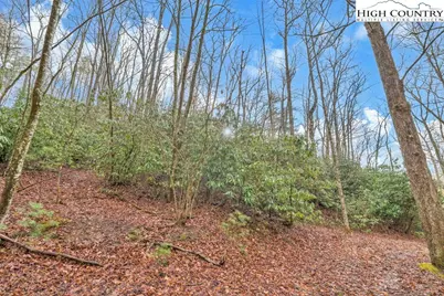 Tbd Jordan V. Cook Road, Boone, NC 28607 - Photo 20