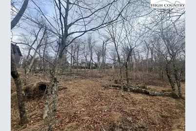 116 N Pinnacle Ridge Drive, Beech Mountain, NC 28604 - Photo 6