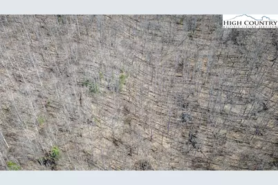 Tbd 88W Highway, West Jefferson, NC 28694 - Photo 4