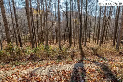 C-89 Smoke Rise Drive, Banner Elk, NC 28604 - Photo 4