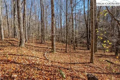 C-89 Smoke Rise Drive, Banner Elk, NC 28604 - Photo 2