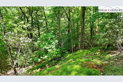 Tbd Shulls Mill Road, Boone, NC 28607 - Photo 12