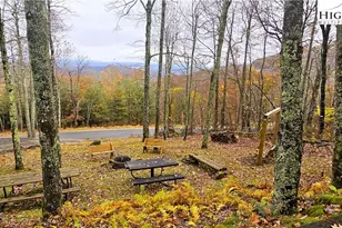 3043 Junaluska Rd, Boone, NC 28607 - Photo 4