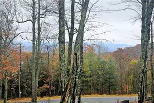 3043 Junaluska Rd, Boone, NC 28607 - Photo 50