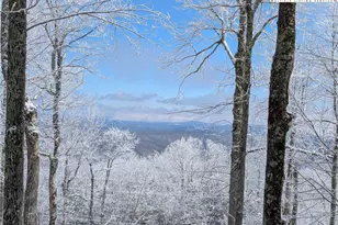 3043 Junaluska Rd, Boone, NC 28607 - Photo 50