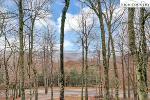 3043 Junaluska Rd, Boone, NC 28607 - Photo 2