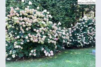 438 Glade Valley Road, Glade Valley, NC 28627 - Photo 50