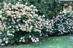 438 Glade Valley Rd, Glade Valley, NC 28627 - Photo 50