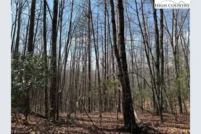 Lot 227 Deer Run Road, Purlear, NC 28665 - Photo 6