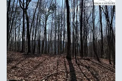 Lot 227 Deer Run Road, Purlear, NC 28665 - Photo 2