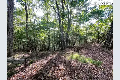 315 Pinnacle Ridge Road, Beech Mountain, NC 28604 - Photo 4