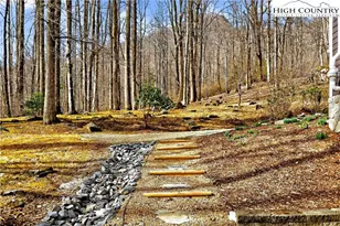 219 Catawba Dr, Marion, NC 28752 - Photo 46