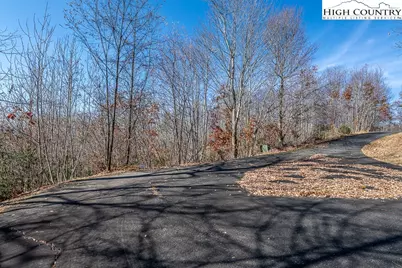 Lot 79 Bear Creek Road, Elk Park, NC 28604 - Photo 8