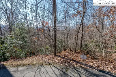 Lot 79 Bear Creek Road, Elk Park, NC 28604 - Photo 6
