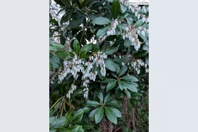 57 Village Road, Roaring Gap, NC 28668 - Photo 40