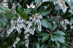 57 Village Rd, Roaring Gap, NC 28668 - Photo 40