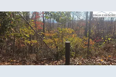 Lot 110 Settlers Knob Road, Elk Park, NC 28622 - Photo 8