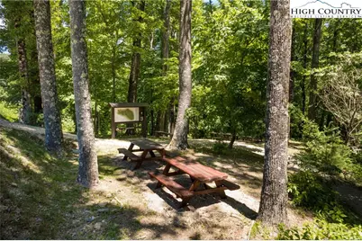 1.58 Acres Lady's Mantle (Er9) Lane, Ferguson, NC 28624 - Photo 40