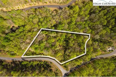 1.58 Acres Lady's Mantle (Er9) Lane, Ferguson, NC 28624 - Photo 14