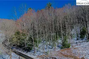 Tbd W Staggs Creek, Warrensville, NC 28693 - Photo 1