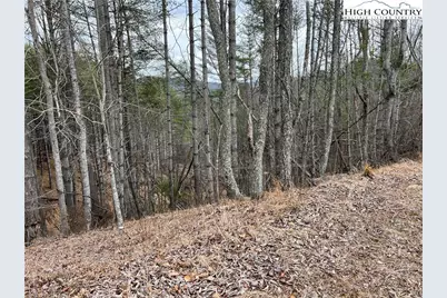 No # Edna Perry Road, Crumpler, NC 28617 - Photo 1