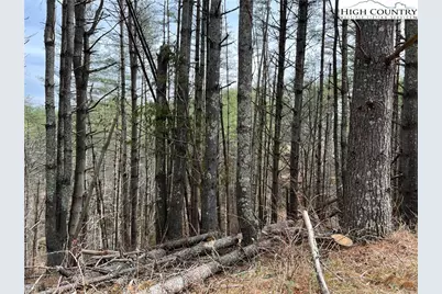 No # Edna Perry Road, Crumpler, NC 28617 - Photo 6
