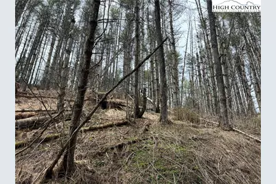 No # Edna Perry Road, Crumpler, NC 28617 - Photo 6