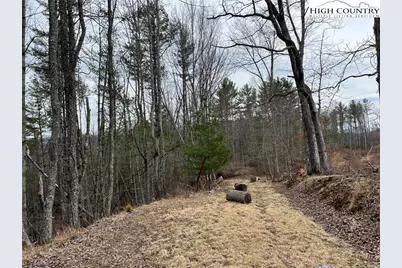 No # Edna Perry Road, Crumpler, NC 28617 - Photo 4