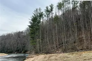 N # Edna Perry Rd, Crumpler, NC 28617 - Photo 1