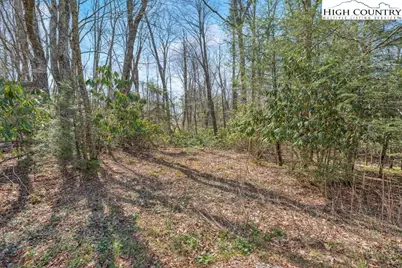 Lot 4/5 Trillium Lane, Linville, NC 28646 - Photo 8