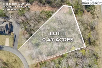Lot 11 Linville River Drive, Linville, NC 28646 - Photo 4