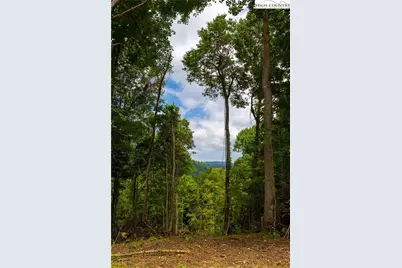 Lot 185 & 188 Raspberry Lane, Elk Park, NC 28622 - Photo 10