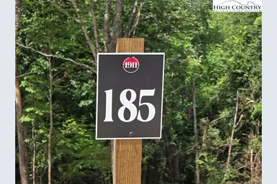 Lot 185 & 188 Raspberry Lane, Elk Park, NC 28622 - Photo 4