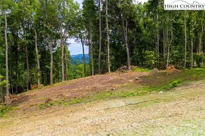 Lot 185 & 188 Raspberry Lane, Elk Park, NC 28622 - Photo 6