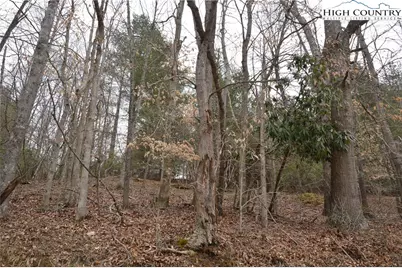Lot #9 Isabel Way, Piney Creek, NC 28663 - Photo 14