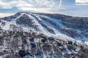 103 Upper Holiday Ln, Beech Mountain, NC 28604 - Photo 28