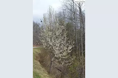 Lot #33 Georginia Way, Piney Creek, NC 28663 - Photo 32