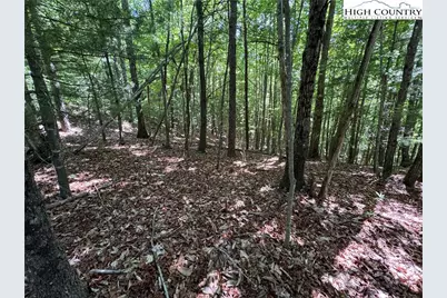 133 Steeple Chase Trail, McGrady, NC 28649 - Photo 6