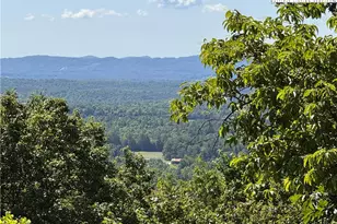 133 Steeplechase Trail, McGrady, NC 28649 - Photo 1